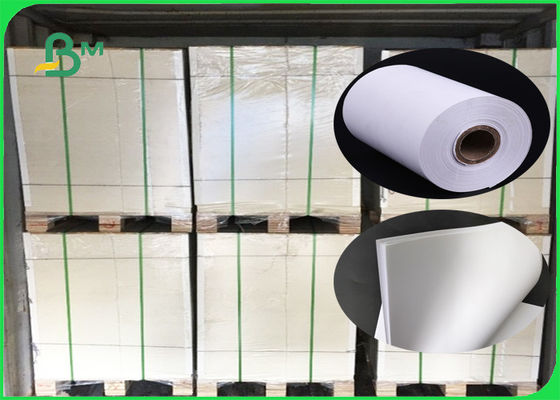 FSC 53GSM - het Document van de de Houtpulpcompensatie van 160GSM Zuivere Grote Bleekheid 70 * 100CM