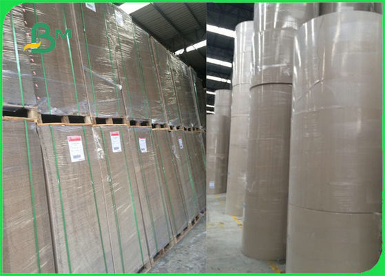 FSC de Verschillende Bladen van de het Boek Bindende Raad van het Kleurenkarton voor Betrokken productdossier