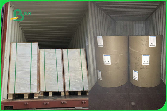 FSC FDA Wit PE van de Voedsel Veilig FBB Raad 15g Met een laag bedekt Document voor Kop die Douane maken