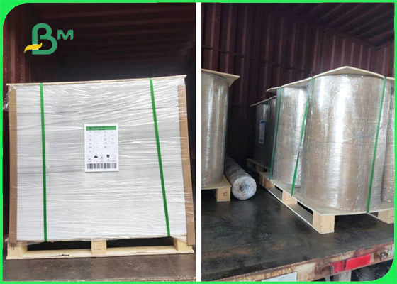 Het maagdelijke Document van de Houtpulp130gsm 170gsm 200gsm C2S Steen voor Drukaffiche