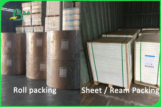 100% maagdelijk de Kopmateriaal 170 van het Pulp Biologisch afbreekbaar Niet bekleed Papier - 300gsm FDA FSC