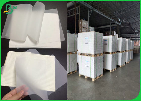 93 x 1124mm het Vindende Document van 73gsm 83gsm 90gsm Transluscent voor Notitieboekje het Maken