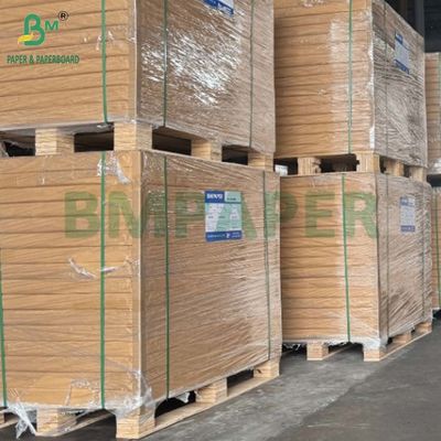 275GSM 400GSM Single Side White Coating Blister Packaging Paper Boards