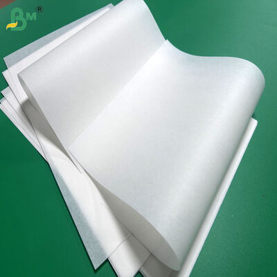 300mm 400mm 30gsm 35gsm Vetvast Silicone Papier Voor Baking Cake Cup