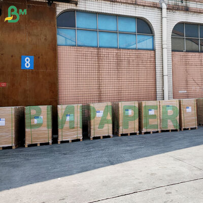 Kleurrijk vetvrij pergament muffinpapier