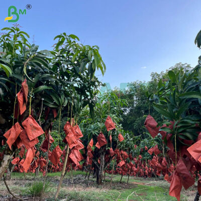 56g enkelzijdig wasrood en zwart papier voor mangoteeltzak, weerbestendig fruitbeschermingspapier