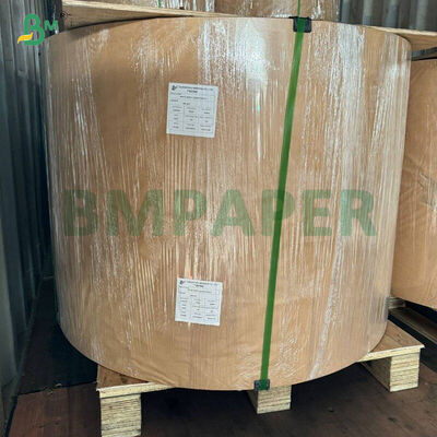 Vetvrij Wit Koffie Geel Groen Cupcake Liner Muffin Papier Voor Bakken