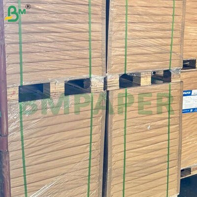 50 gram oliebestendige bakpapierrolletjes van voedselkwaliteit 787 mm rollenbreedte