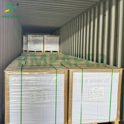 Kit 5 Voedselgraad 40 gsm Vetvast Papierrol 840 mm voor het verpakken van fastfood