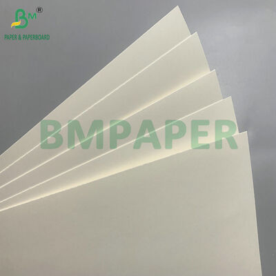 Biologisch afbreekbaar en microgolfveilig karton voor het maken van wegwerpbakken voor salade