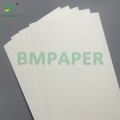 Biologisch afbreekbaar en microgolfveilig karton voor het maken van wegwerpbakken voor salade