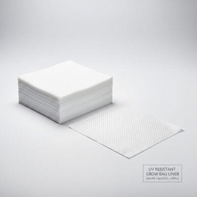 UV-bestendige druivenmango appelgroei zakpapier binnenste laag voering