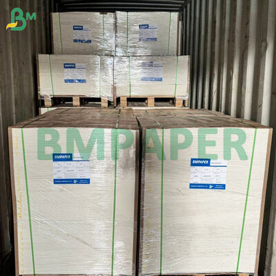 Mikrogolf - Veilig voedselpapier voor papierplaten, kopjes