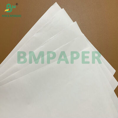 Hoge Duurzaamheid Premium BPA-vrije 48gsm 55gsm Thermisch Papier Rollen