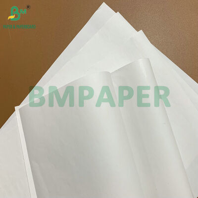 Hoge Duurzaamheid Premium BPA-vrije 48gsm 55gsm Thermisch Papier Rollen