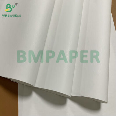 Hoge Duurzaamheid Premium BPA-vrije 48gsm 55gsm Thermisch Papier Rollen