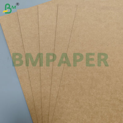350 gm+10 gm PE-gecoate papierplaten van levensmiddelenkwaliteit voor schaal/plaat