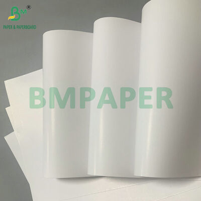 High Resistance Waterproof Wet Strength Paper 70gsm 80gsm Label Paper for Beer Bottle Labels