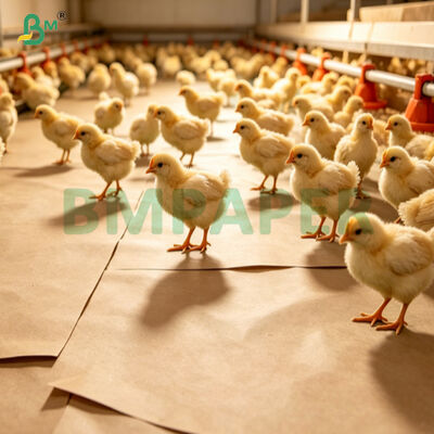 75 g absorberend anti-glij-papier voor het broeien van watervogels