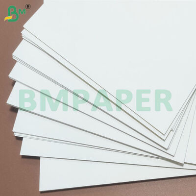 275gsm+10gsm PE Coated Bowl Stock Paper Sheets for Noodle Bowl