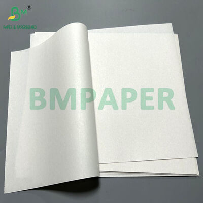 30gsm 40gsm White Food Grade Tortilla Separator Paper in 35cm 47cm Reel