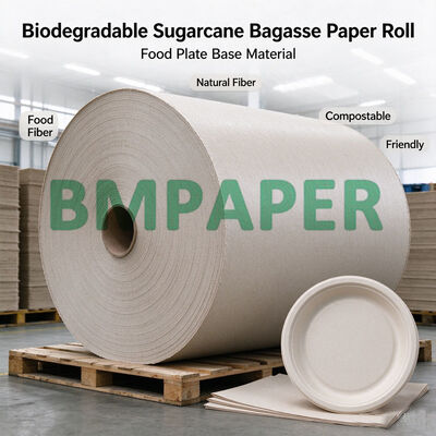 80g-300g Biologisch afbreekbare suikerriet bagasse papierrol voor het maken van voedselborden