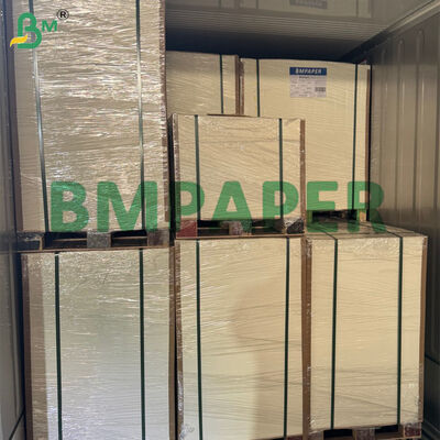 80g-300g Biologisch afbreekbare suikerriet bagasse papierrol voor het maken van voedselborden