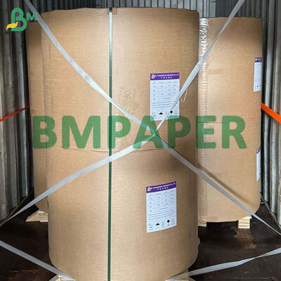 80g-300g Biologisch afbreekbare suikerriet bagasse papierrol voor het maken van voedselborden