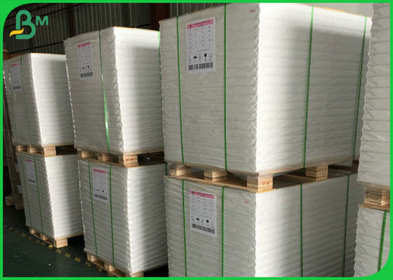 300GSM FSC SGS de Witte Glanzende Spoel van het Kunstpapier met Natuurlijk de Pulpmateriaal van 100%