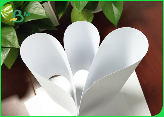 104% Houten Vrij Niet bekleed de Compensatiedocument Verklaarde FSC & ISO van de bleekheidslanglopend