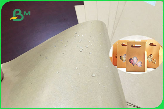 PE van 300gsm 350gsm Met een laag bedekt Document Blad Enige of Dubbele Kant voor Plaat FSC FDA