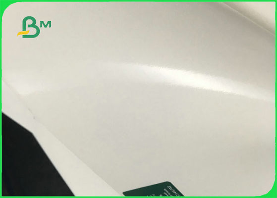 FSC 100% Zuiver Houtpulp Wit PE Met een laag bedekt Document voor het Maken van Diep bord 300gsm