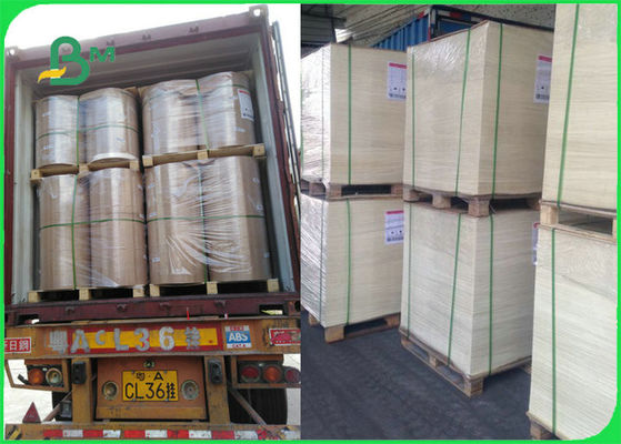 Document van het het Voedsel Veilige Hittebestendige Baksel van FDA FSC Verklaarde voor Grill die BBQ koken