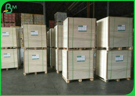 van het de Bleekheids190g 210g 250g Voedsel van 90% 800mm 900mm de Raad van het de Rangivoor voor Voedseldoos