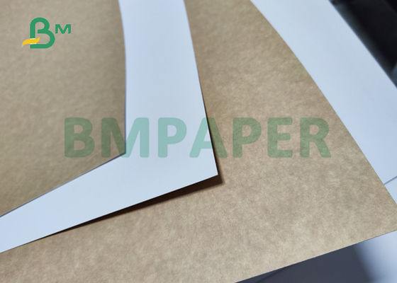 De Achterraad van 14PT 16PT CCKB Kraftpapier voor Voedseldozen 22inch 27,5 duim Goede Stijfheid