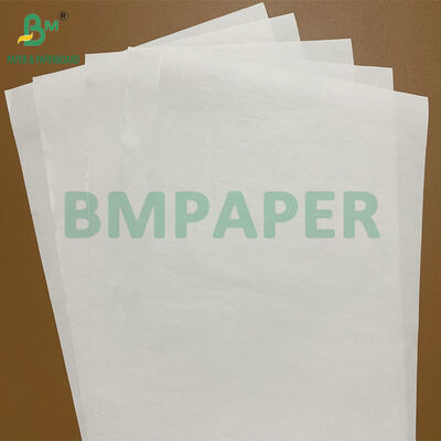 Hoge Duurzaamheid Premium BPA-vrije 48gsm 55gsm Thermisch Papier Rollen