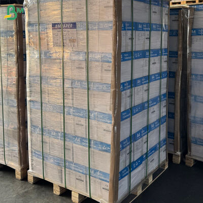 76gr NCR zelfkopiërend papier voor verkoopfactuur Zwart beeld 8,5