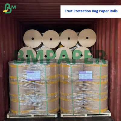 56 gm Rode papieren rollen 34 gm Zwarte papieren rollen voor fruitbeschermingszakken 200 mm - 400 mm
