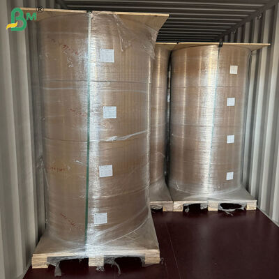 50 gsm + 10 g PE-gecoat bruin kraftliner voor rietjesverpakking 80cm 90cm